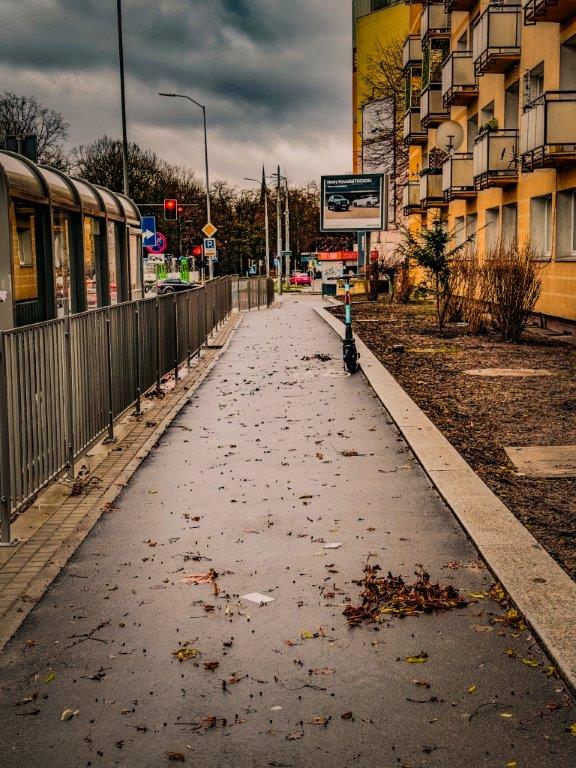 Ścieżka rowerowa jesienią na ul. Matejki zrealizowana w ramach SBO