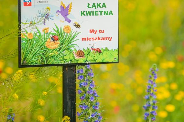 zielone rowerowe osiedla