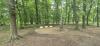 park Chopina 1