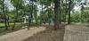 park Chopina 3